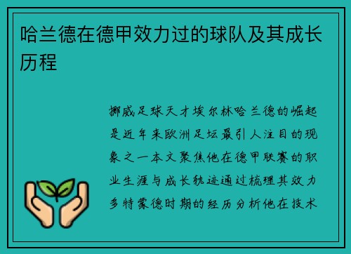 哈兰德在德甲效力过的球队及其成长历程